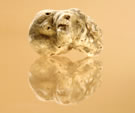 tuber magnatum pico