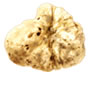 tuber magnatum pico